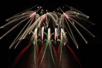 /album/ignis-brunensis-2023/dsc3441-flash-barrandov-hra-s-ohnem-jpg/